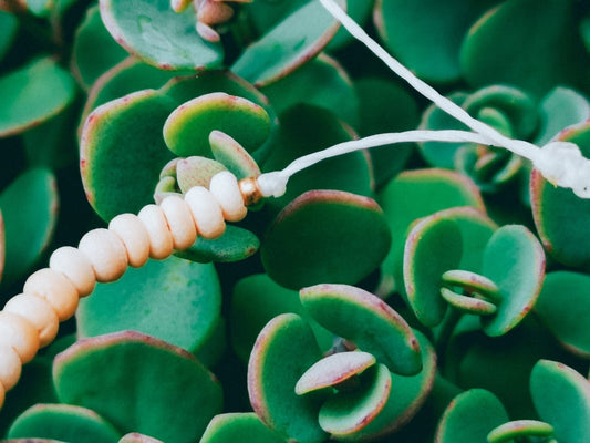 "Kalea“ Armband - Armbänder